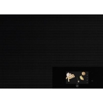 V-Zug  Cooktop V6000 I705 70厘米 嵌入式電磁爐